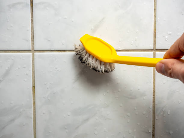 Best Mold Removal Process  in St John, IN