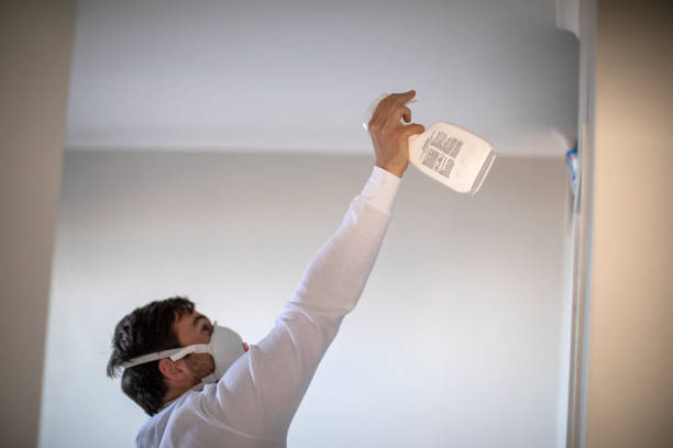 Best Mold Removal Company Near Me  in St John, IN